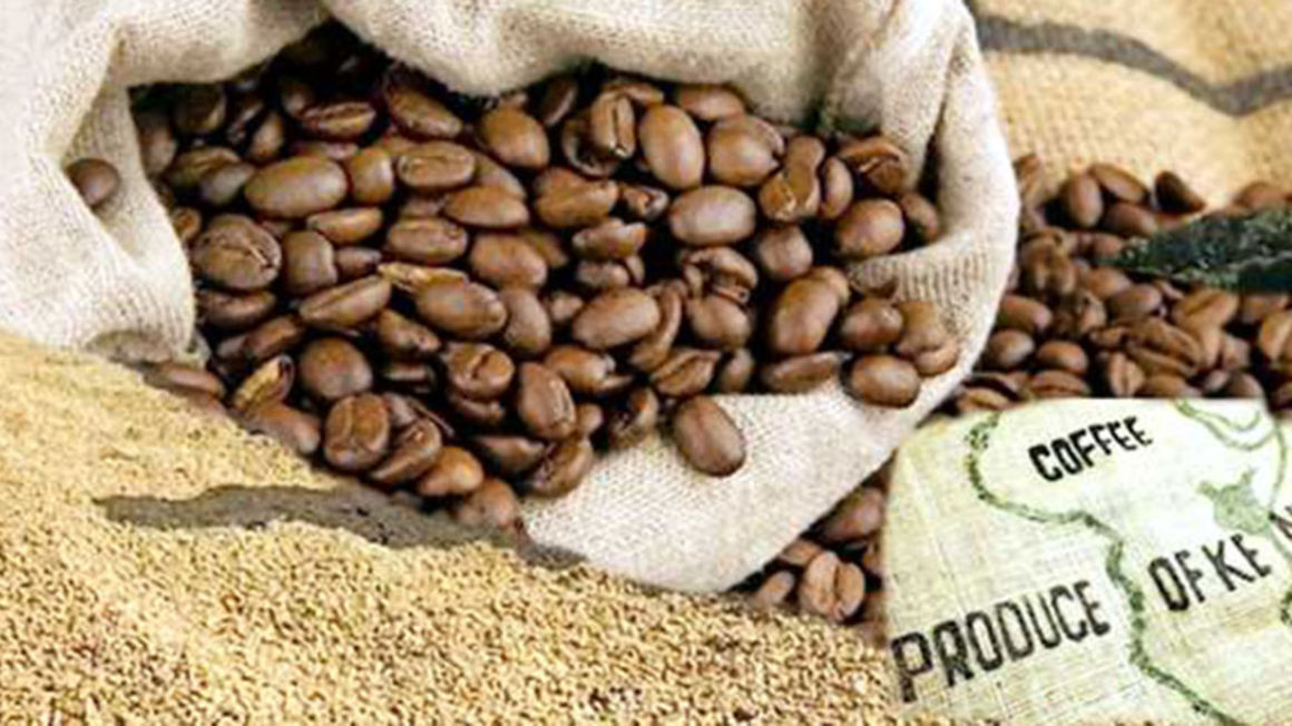 Food production in Africa Coffee export in Kenya CGTN