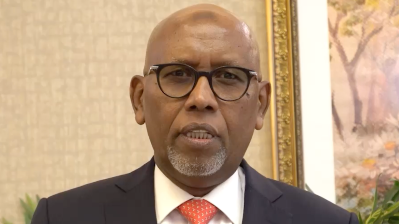 Djibouti finance minister extends Chinese New Year greetings