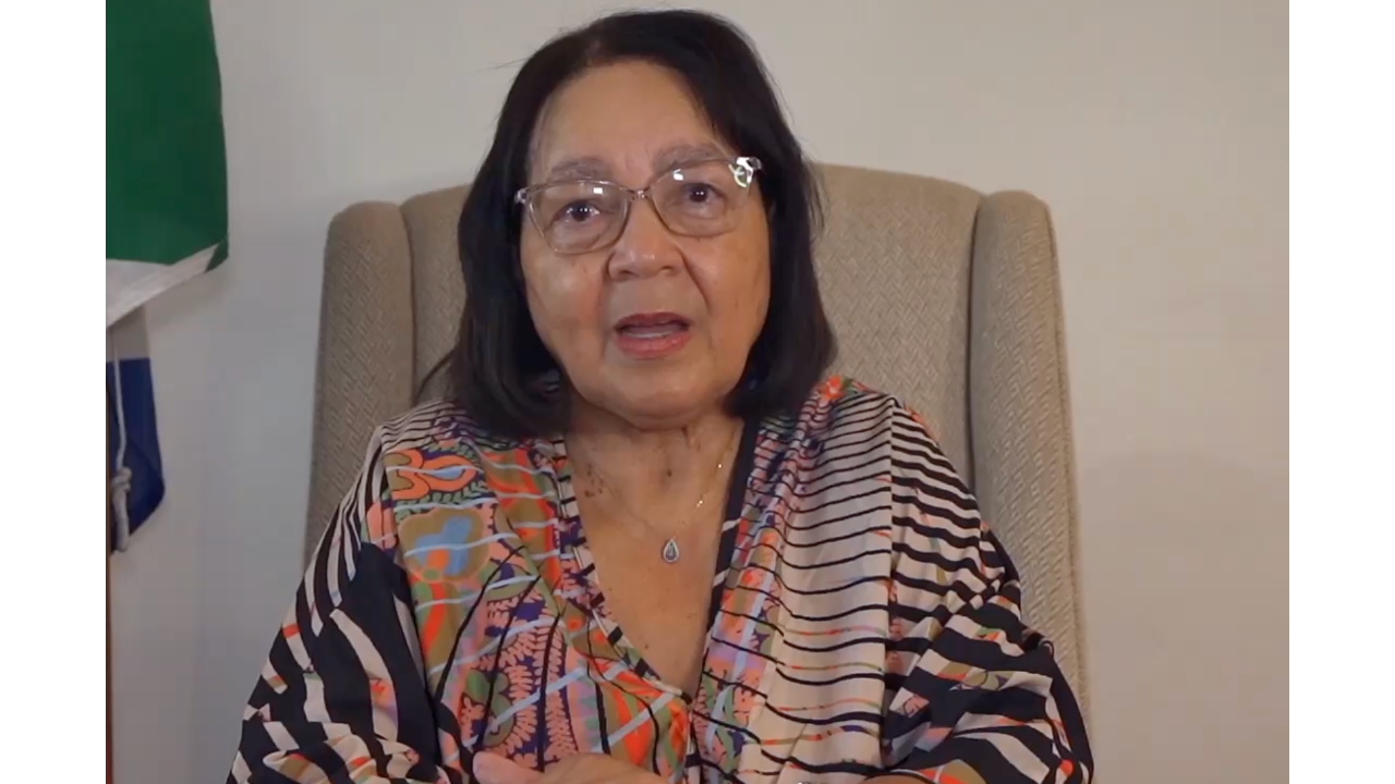 South African tourism minister wishes Chinese community Happy New Year